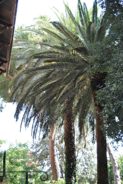 Villa Fiocchi كالتانيسيتا المظهر الخارجي الصورة