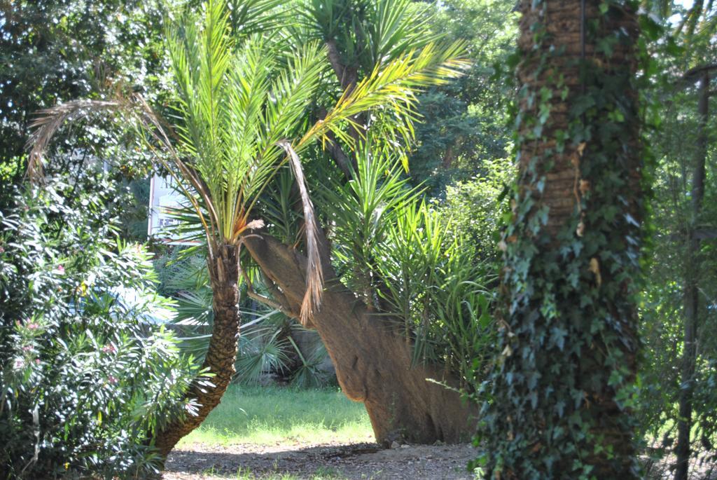 Villa Fiocchi كالتانيسيتا المظهر الخارجي الصورة